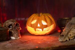 halloween. skrämmande halloween pumpa med ristade ansikte på tabell i mörk rum med mänsklig skalle och djur- skalle foto