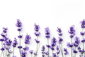 ai genererad lavendel- blommor isolerat på vit bakgrund foto