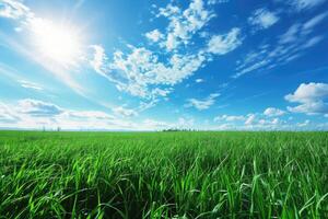 ai genererad grön gräs och blå himmel sommar landskap foto