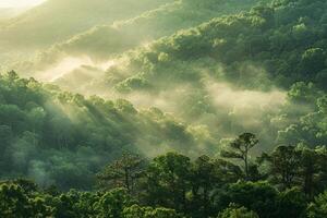 ai genererad dimmig morgon- över grönskande skog kullar på soluppgång foto