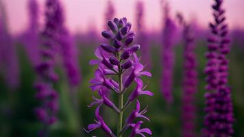 ai genererad fluorescerande lila blomma stam står ut mot suddig fält bakgrund foto