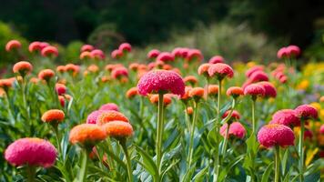 ai genererad visa suddig natur bakgrund av blommor i trädgård parkera utomhus foto