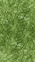 grön bakgrund enkel löv textur - 95 foto