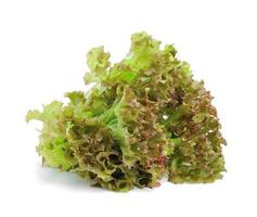 färska gröna salladsblad isolerade på vitt foto
