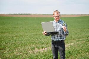 jordbrukare med bärbar dator inspekterande vete på de fält foto