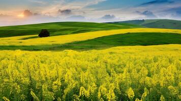 ai genererad skön sommar landskap med gul blomma fält och rullande kullar foto