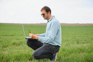 man jordbrukare arbetssätt på en bärbar dator i de fält. agronom undersöker de grön gro vinter- vete. foto