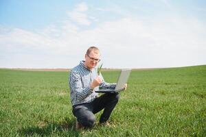 jordbrukare stående i ung vete fält granskning beskära och ser på bärbar dator. foto