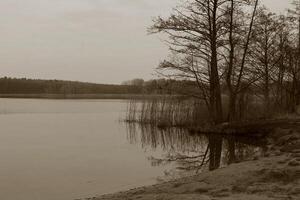 enkel natur Foto