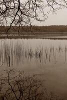 natur bakgrund Foto