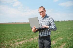 man jordbrukare arbetssätt på en bärbar dator i de fält. agronom undersöker de grön gro vinter- vete. foto