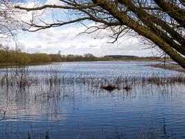 översvämmad ängar på wheldrake ingar, norr yorkshire, England foto