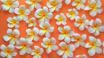 ai genererad abstrakt och ljuv bakgrund med mjuk orange plumeria frangipani blommor foto