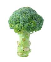 färsk broccoli isolerad på vit bakgrund foto