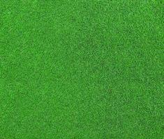 grönt gräs bakgrundsstruktur foto