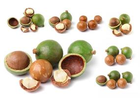 macadamianötter isolerad på vit bakgrund foto