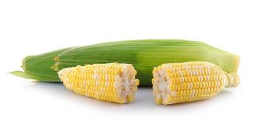 majs på en vit bakgrund foto