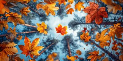 ai genererad färgrik höst löv faller i de skog. färgrik höst bakgrund foto