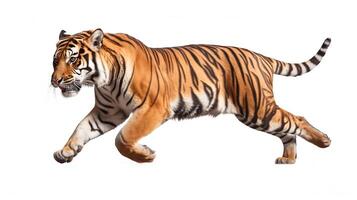 ai genererad tiger panthera tigris isolerat på vit bakgrund.generativ ai foto