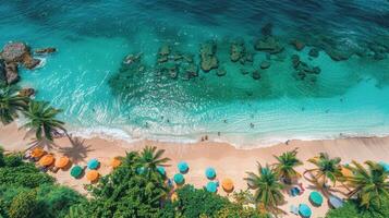 ai genererad handflatan träd foder strand förbi hav foto