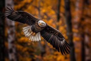 ai genererad skallig Örn flygande med skog i de bakgrund.generativ ai foto