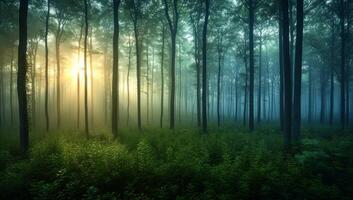 ai genererad mystisk dimmig skog på soluppgång med solstrålar genomträngande genom träd. atmosfärisk skog landskap med dimmig undervegetation och solljus strålar i morgon- dis. foto