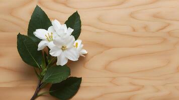 ai genererad stockphoto vit jasmin blomma står ut mot en rena trä- bakgrund foto