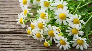 ai genererad kamomill blommor anordnad på en rustik trä- bakgrund utstrålar lugn foto