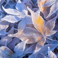 ai genererad extrem vinter- skönhet frost täckt löv i en lugn snöig miljö för social media posta storlek foto