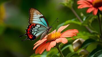 ai genererad blå brun fjäril på blomma mot skönhet vinge bakgrund foto