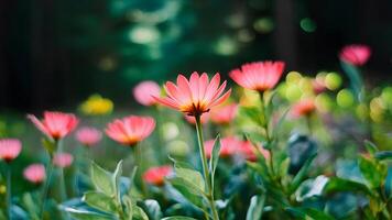 ai genererad färgrik vild skog blomma bild med unik bokeh bakgrund foto