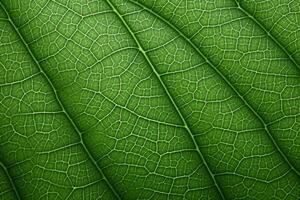 ai genererad stänga upp grön blad textur, makro löv textur bakgrund, grön blad makro fotografi, ai generativ foto