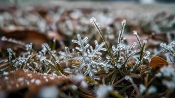 ai genererad makro skott av invecklad snöflingor blänkande på gräs foto