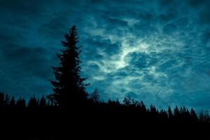 mystisk natt, silhouetted skog träd under de full måne och molnig himmel. foto