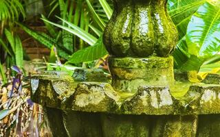 nostalgisk grön fontän i de trädgård puerto escondido Mexiko. foto