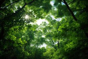 ai genererad frodig grön skog tak under mjuk solljus. generativ ai foto