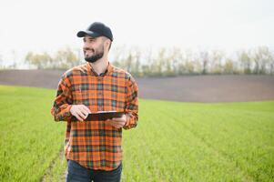 en ung jordbrukare inspekterar de kvalitet av vete groddar i de fält. de begrepp av lantbruk foto