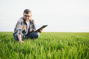 erfaren och självsäker jordbrukare på hans fält. porträtt av senior jordbrukare agronom i vete fält. foto