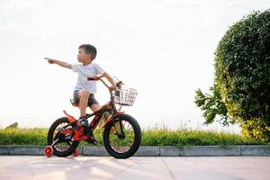 barn på en cykel på asfalt väg i tidigt morgon. liten pojke lär till rida en cykel i de parkera. Lycklig leende barn, ridning en cykling. foto