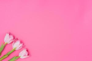 blommig bakgrund med tulpaner blommor på rosa pastell bakgrund. platt lägga, topp se. kvinna dag bakgrund. foto