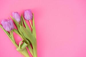 blommig bakgrund med tulpaner blommor på rosa pastell bakgrund. platt lägga, topp se. kvinna dag bakgrund. foto