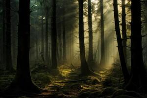 ai genererad mystiker skog höljd i dimma och rörd förbi de först ljus av dag. generativ ai foto