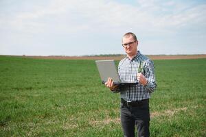 man jordbrukare arbetssätt på en bärbar dator i de fält. agronom undersöker de grön gro vinter- vete. foto