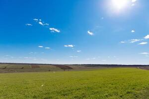 vår gräs fält och berg, skön bakgrund, grön gräs, skön himmel över de fält foto