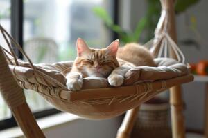ai genererad katt avslappning i en mysigt hängmatta, bekväm sällskapsdjur njuter en sovande ögonblick foto