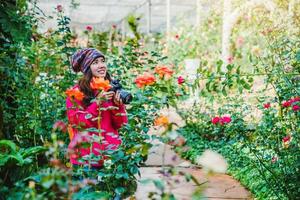 kvinna reser naturen tar fotografier i rosenträdgården. mångfärgade rosor vackra på doi inthanon chiangmai i thailand. foto