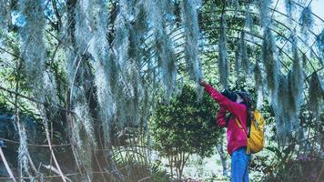 kvinnor reser fotografera natur blomma i den offentliga parken. ta bilder spansk mossa trädbåge lämplig som bakgrund. foto