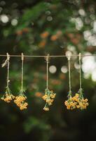 ai genererad de blommor är hängande på de rep. en Foto av små blommor hängande på linje med trä- klämma