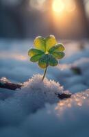 ai genererad små grön växt groddar genom de snö i de strålar av de stigande Sol. foto