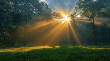 ai genererad Sol lysande genom träd i skog foto